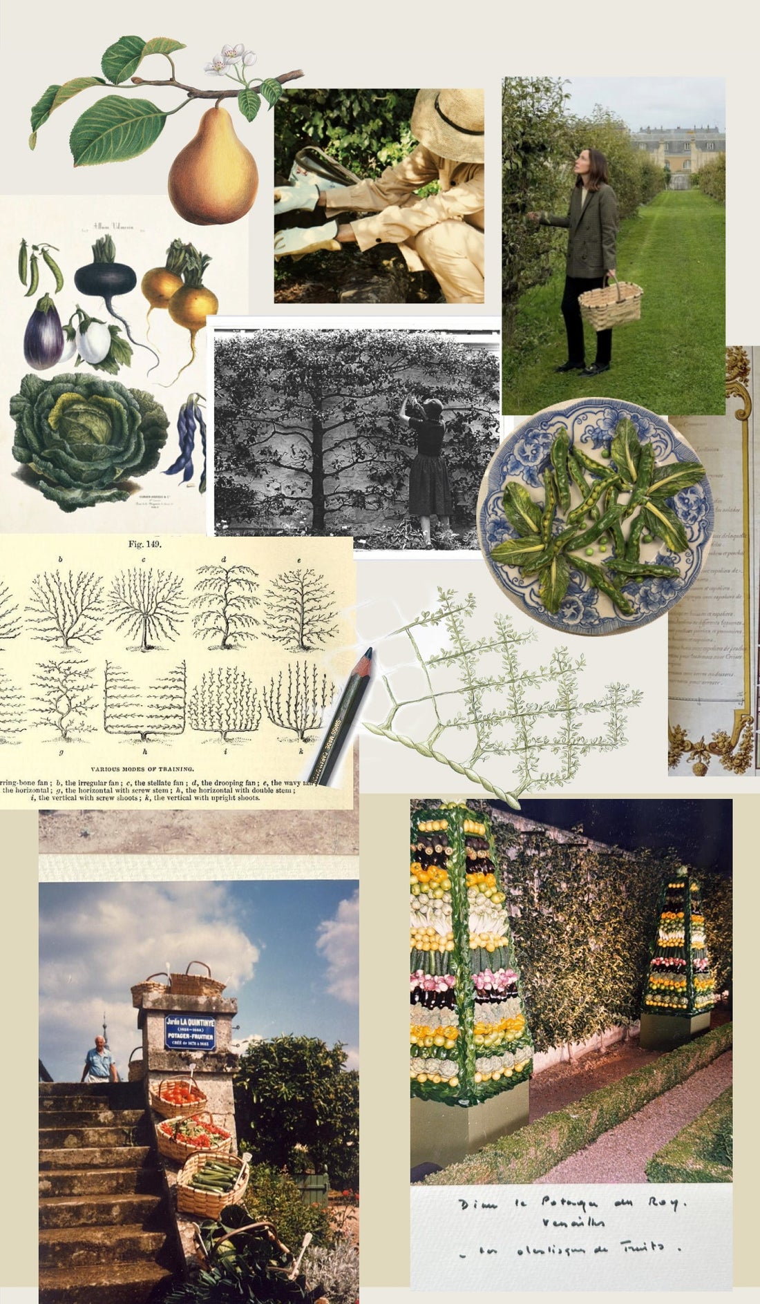 Le Potager du Roi Moodboard