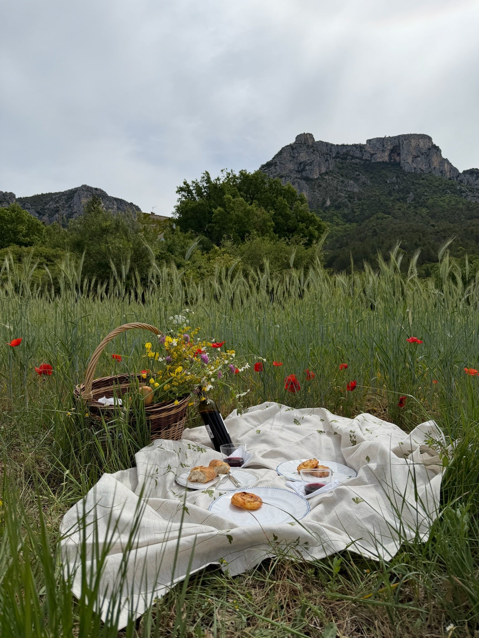 A Provençal Picnic