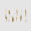Golden Wheat Napkin Holder, Set of Six